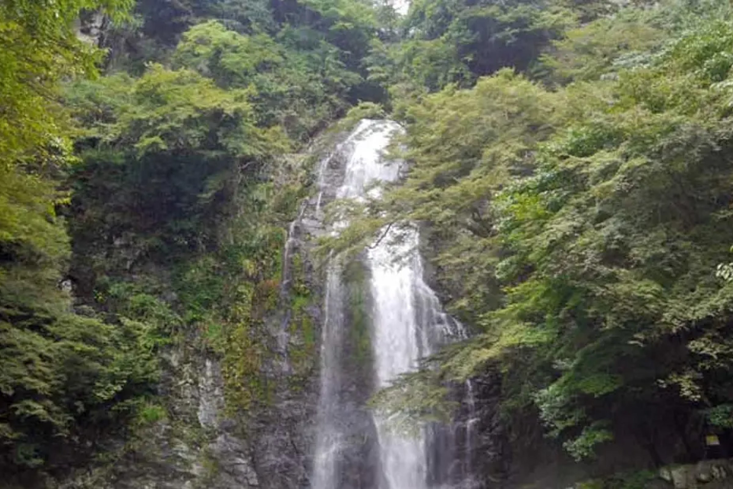 Minoh Waterfall and nature walk through the Minoh Park